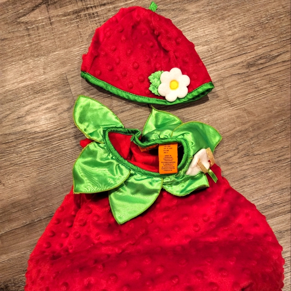 Baby girl strawberry halloween costume